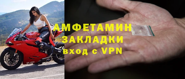 прущие грибы Сатка