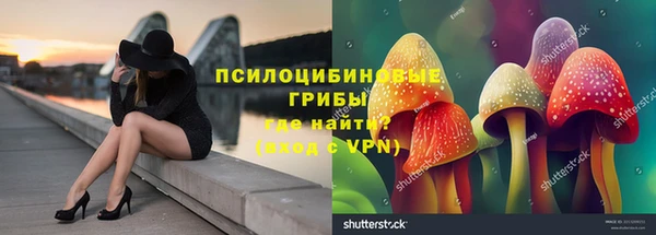 хмурый Белоозёрский