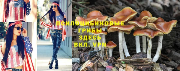 гашиш Белокуриха