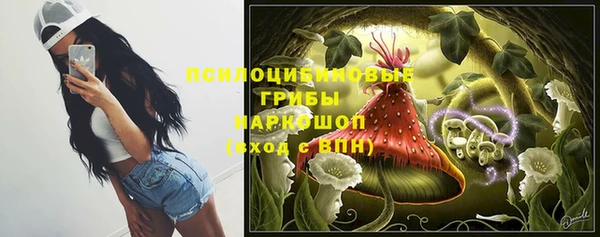 apvp Беломорск