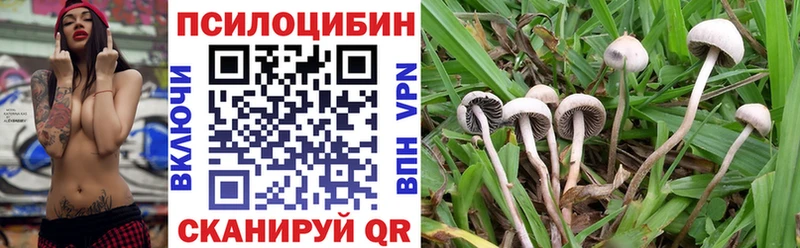 дарк нет Telegram  Гулькевичи  Псилоцибиновые грибы Magic Shrooms 